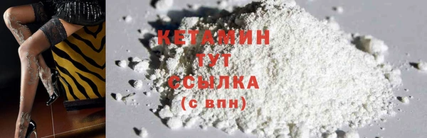индика Горняк