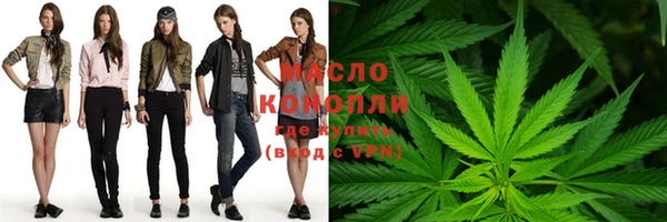 индика Горняк
