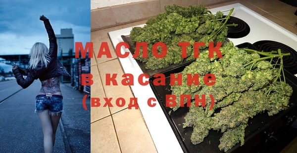индика Горняк