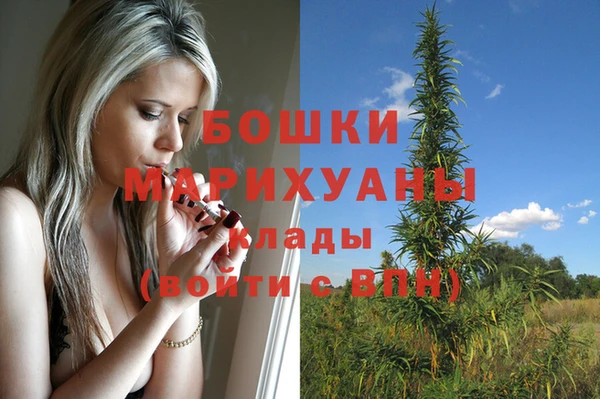 крисы Горно-Алтайск