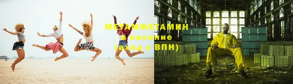 индика Горняк