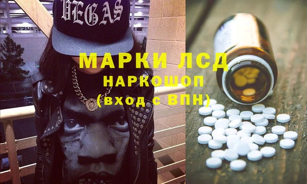 индика Горняк
