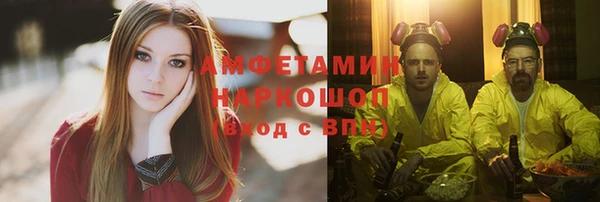 индика Горняк