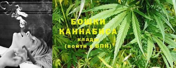индика Горняк