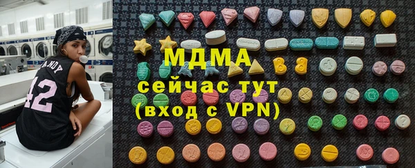 индика Горняк