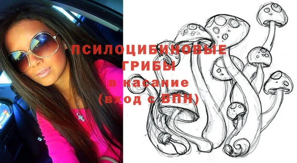 индика Горняк