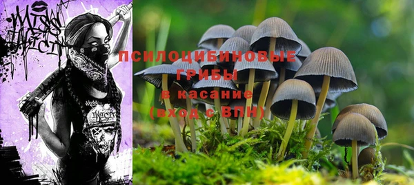 крисы Горно-Алтайск