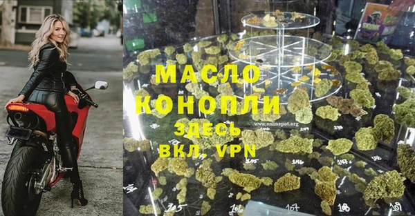 индика Горняк