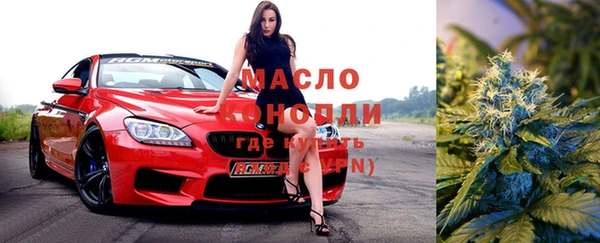 индика Горняк