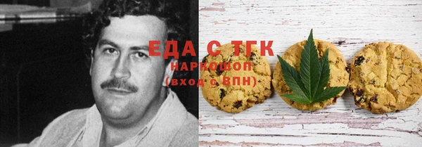 индика Горняк