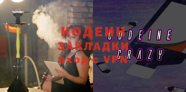 индика Горняк