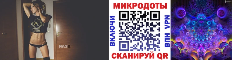 Галлюциногенные грибы Psilocybe  Купить закладки  Костерёво 